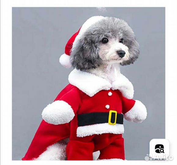 Одежда для животных