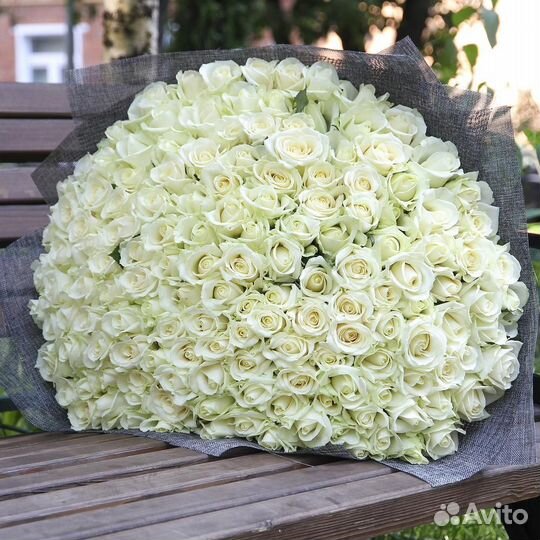 Букет из 201 розы