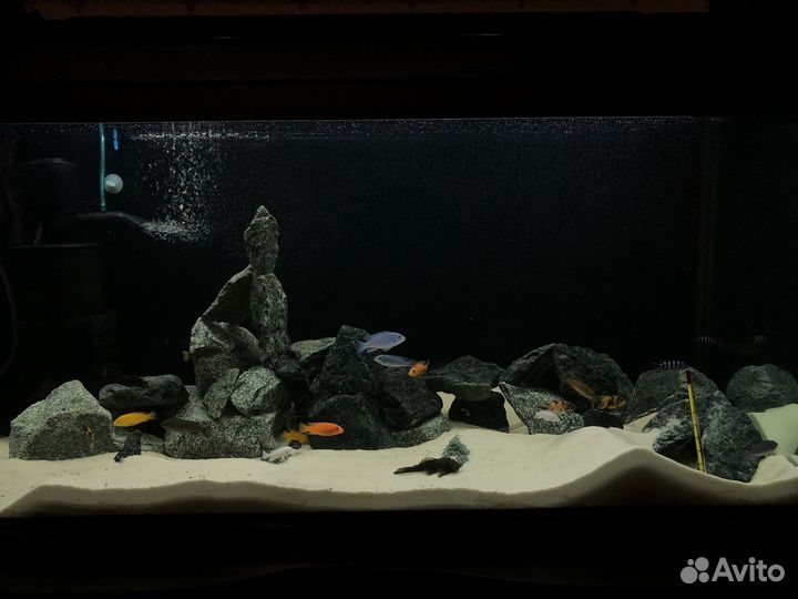 Аквариум