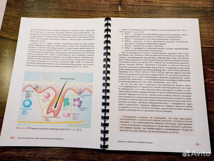 Чувствительная кожа в практике косметолога