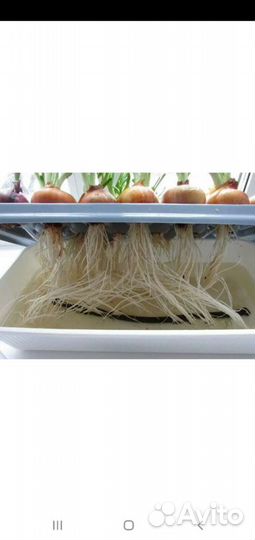 Грядки без земли