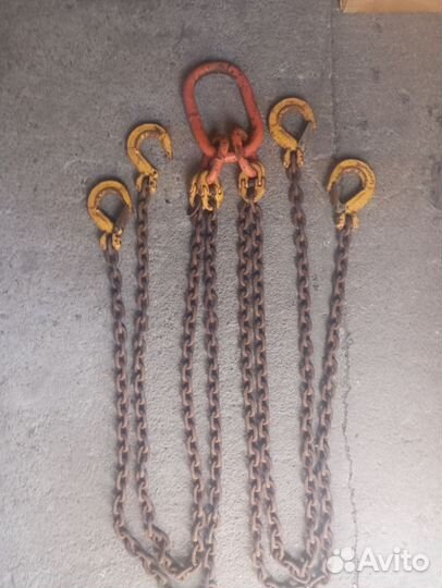 Паук цепной