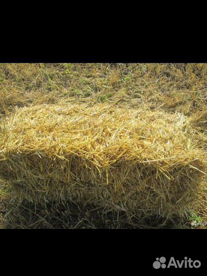 Солома в тюках с доставкой
