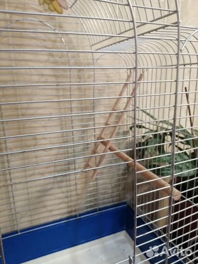 Клетка для попугая