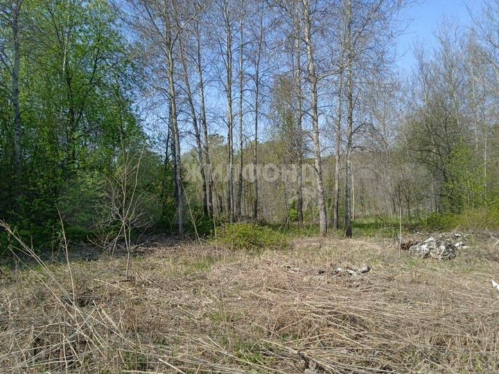 Участок 8 сот. (СНТ, ДНП)