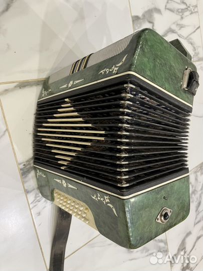 Баян Беларусь