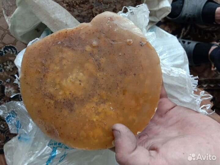 Прополис пчелиный