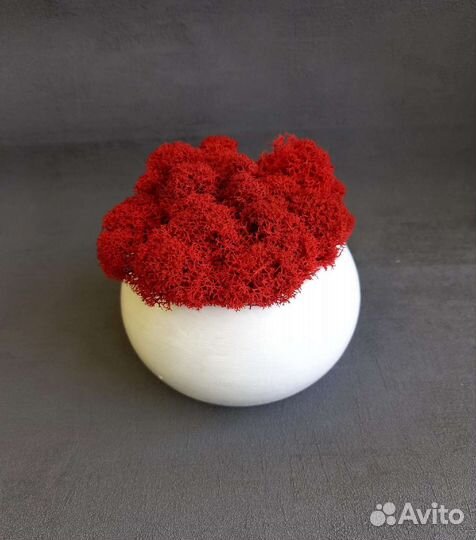 Кашпо из гипса и бетона