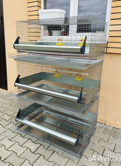 Клетки для 30 кур несушек