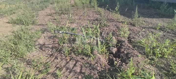 Участок 15 сот. (ИЖС)
