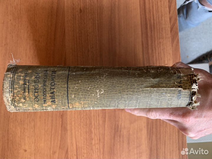 Основы патологической анатомии Никифоров