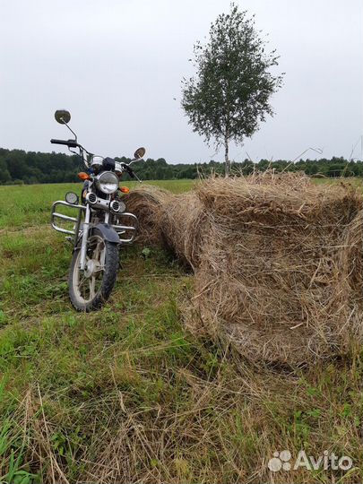 Сено в мини рулонах