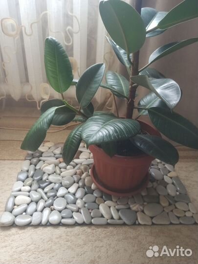 Коврик из морской гальки