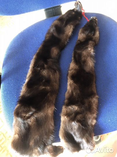 Шкурка животного