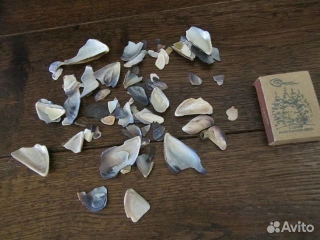 Ракушки, камушки