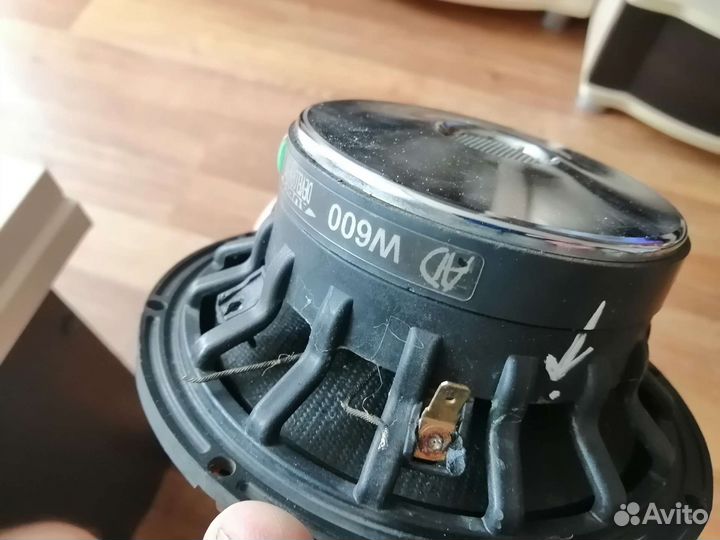 Audio DevelopmentW 600