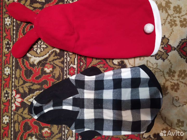 Одежда для собак