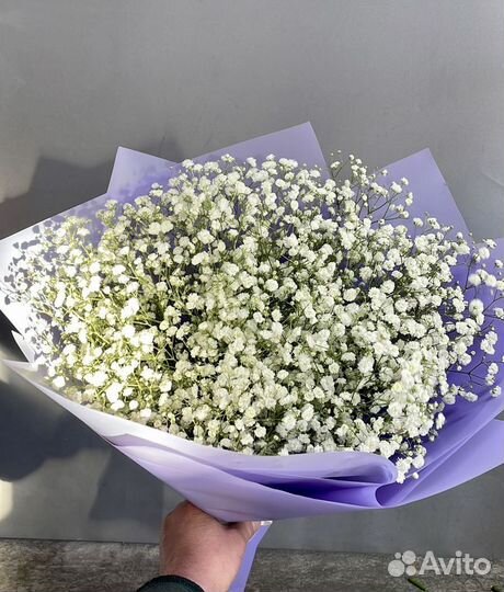 Гипсофила букет из гипсофилы, гипсофила опт