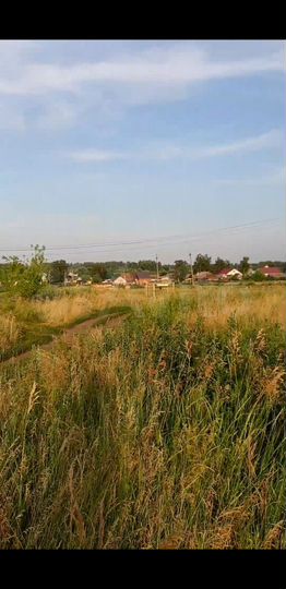 Участок 20 сот. (ИЖС)