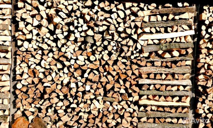 Дрова березка