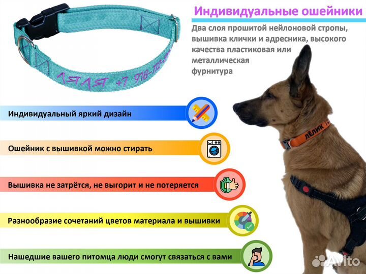 Ошейник для собаки с адресником