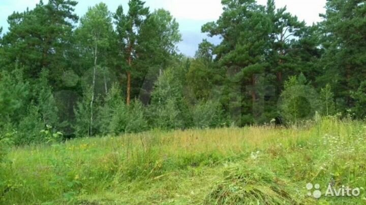 Участок 20 сот. (ИЖС)