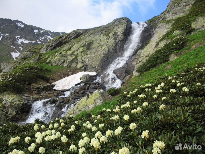 Экскурсии по Абхазии на микроавтобусе