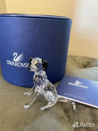 Swarovski фигурка Dalmation Mather