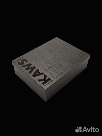 Kaws набор фигурок Companion Family