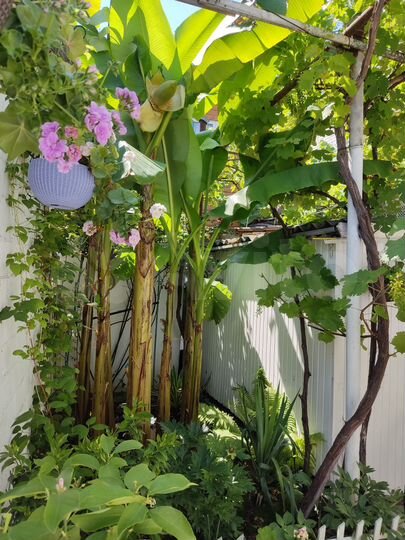 Комната 10 м², 1/2 эт.