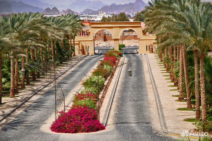 Горящий тур в Египет Шарм-эль-Шейх