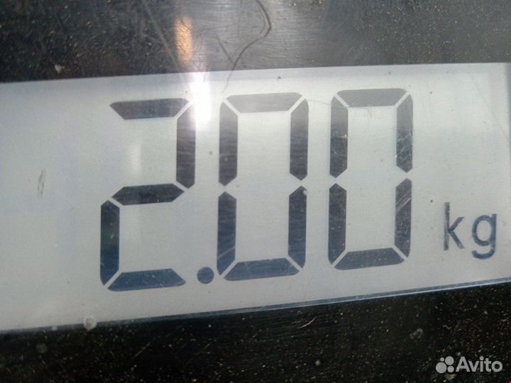 Шкив коленвала для Ford Focus 2 1753154