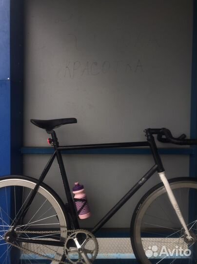 Fuji declaration фикс/сингл