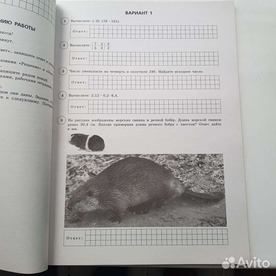 Тренажер впр по математике 6 класс для экзамена