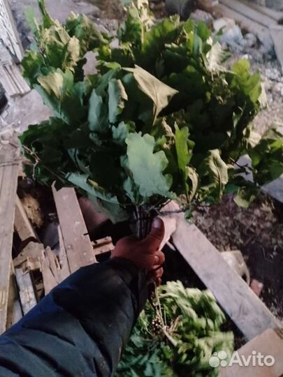 Дубовые веники для бани, пихта под заказ