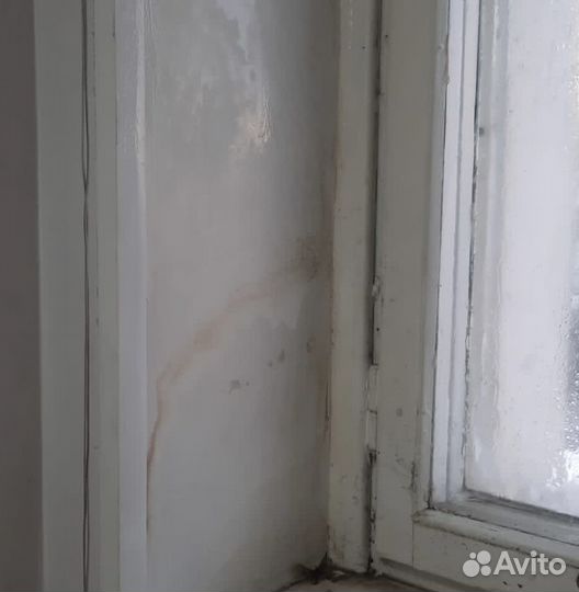 Удаление/ Обработка Плесени/ Дезинфекция