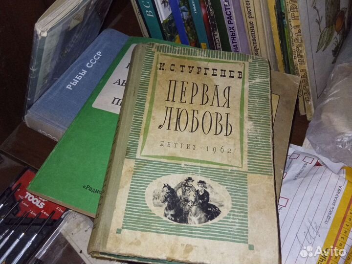 Тургенев первая любовь