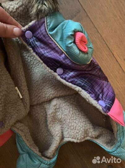 Одежда для маленький собачек