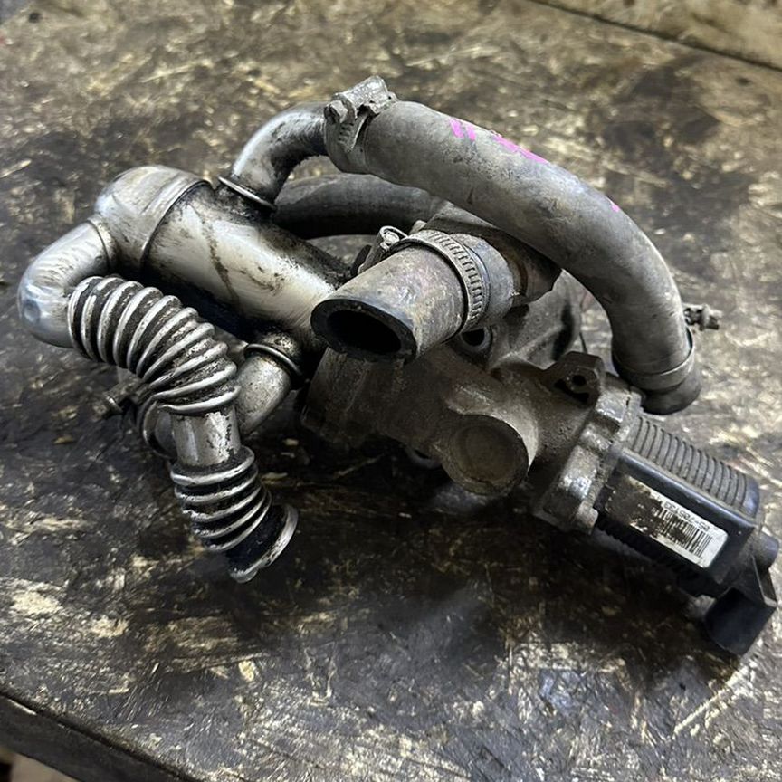 Braziliyalik porno: yosh va qari