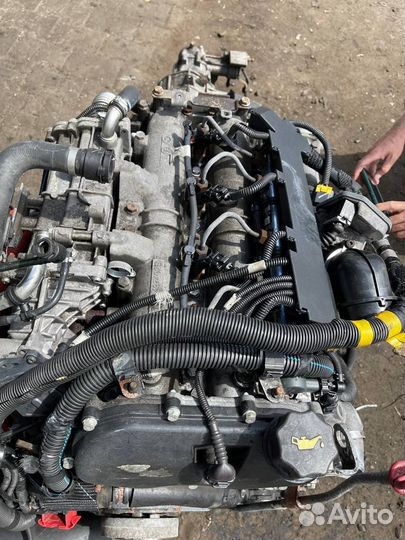 Двигатель в сборе iveco Daily 3.0 f1cgl411b