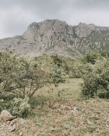 Участок 6,5 сот. (ИЖС)