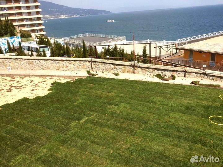Рулонный газон от производителя