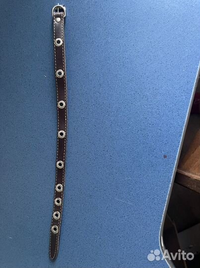 Ошейник и поводок с цепью для собак