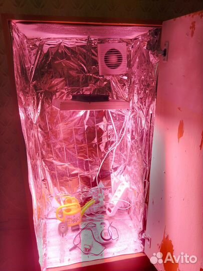 Готовый гроубокс