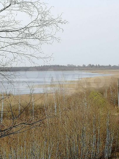 Участок 29,2 сот. (ИЖС)