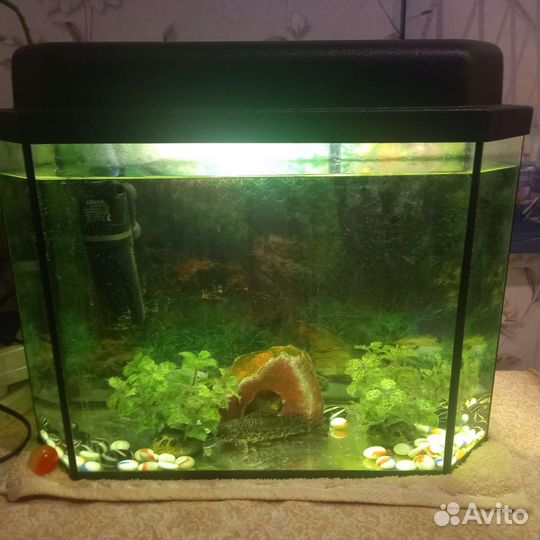 Аквариум