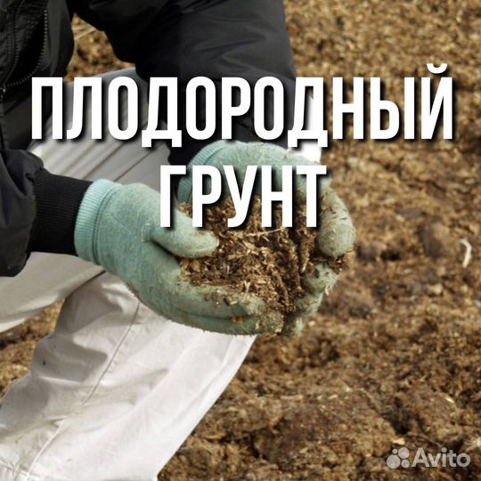 Чернозём плодородный грунт