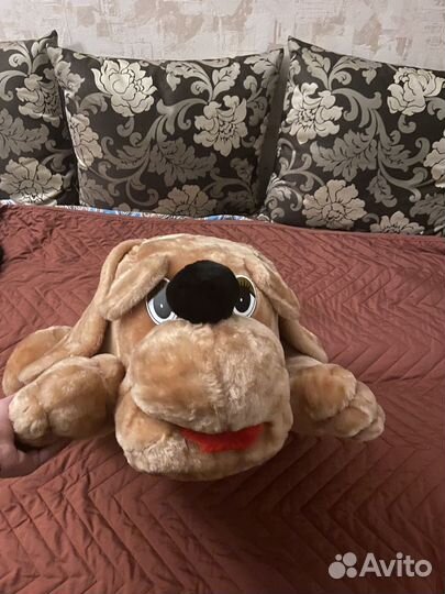 Собака мягкая