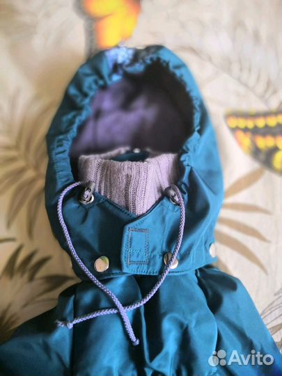 Зимний комбинезон для ксоло