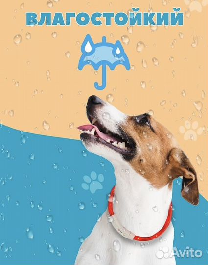 Новый Ошейник для животных мигающий светящийся